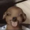 pooponmybutt311