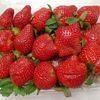 april_80_zn