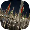 mishamisha902
