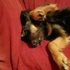 jeffrey_058