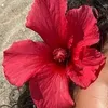 fatou_028