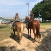 carleelanefarms