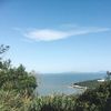 janetwuang
