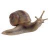 that_one_immortal_snail