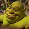 The laughing meme