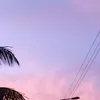 cherryxxi244