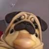 user65638667