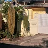 josecassiano67