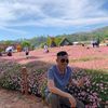 tung_siro
