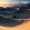 hellotuinee2