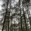 ikiakusopoakulo