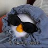 aazmjk0019