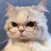 m.meaow