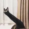 maja_ji0