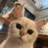 cutecute3458