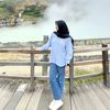 dewirsrn_