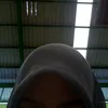 2142054177