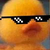 rosxe.s