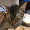 mew_010705