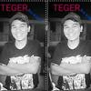 teger_cs94