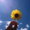 thisisbf8