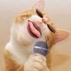 Almira𓍯𓂃