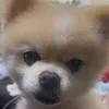akane__7255