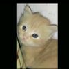 mamanyamerry24