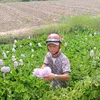 thanhbinh1986.c