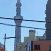 noana507
