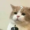 aimaim__5