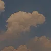 on_1907