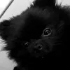 sugaringu._.u