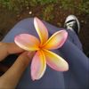 tiara02071