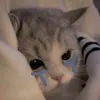 _ary_763