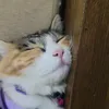 meoruby6