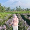 lita.niaaa