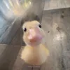 pika____3