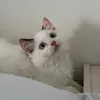 uwlyb