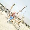 farda_arin