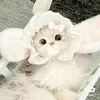 🧸⭐️