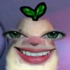 lulu._.gr