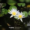 minh_tuan_117