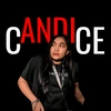 c.andi.ce