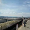 trih_trinh202