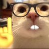 kittyyaya57