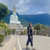 aui_freedom