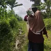 isnimeryanisilalahi