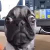 patrick02030203
