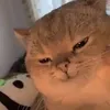 an____hhhh